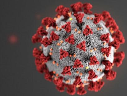 dbm 620, Virus