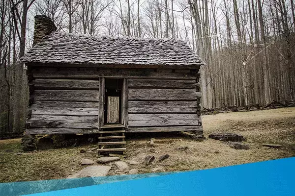 Cabin in the woods