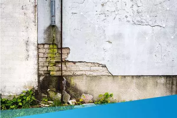 Wall