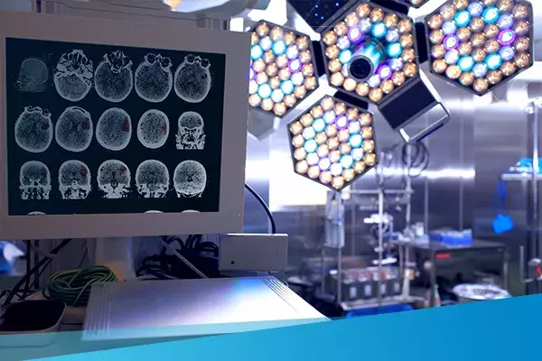 brain image